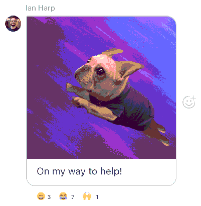 GIF showing a flying dog