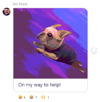GIF showing a flying dog